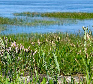 Wandern Butjadingen