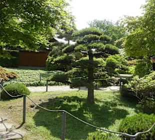 Parkanlage Planten un Blomen