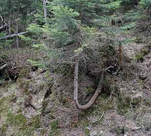 Berg Schneekoppe/Śnieżka