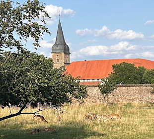 Ausblick