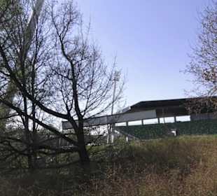 Stadion an der Kreuzeiche
