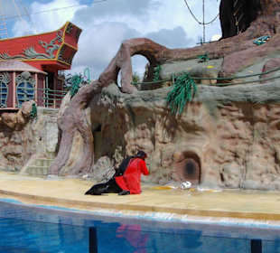 Peter Pan Show