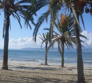 Playa de Palma