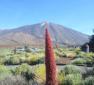 Teneriffa Tour Teide-Nationalpark