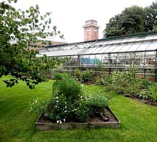 Das Sukkulentenhaus im Botanischen Garten