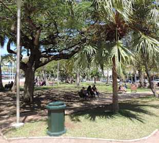 Grüne Lunge mitten in der Stadt