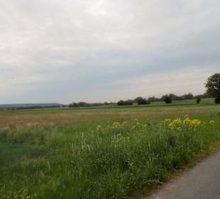 Entlang des Radweges
