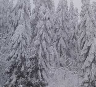 Wandern Arrach