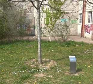 Hain der Kulturen