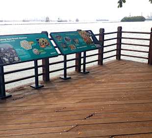 Ausblick Aussichtsturm