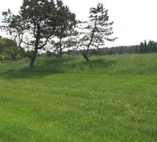 Klimaweg Sonnenalb