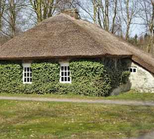 Die Efeuhütte - Blattgrün schützt den Lehm