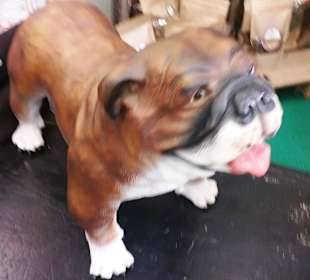 Deko Hund