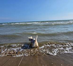 Zwischendurch mal rein