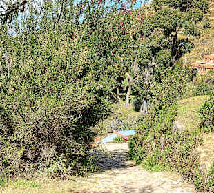 Wandern Isla del Sol