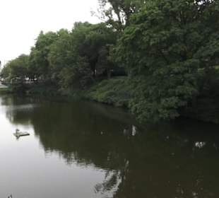 Alter Botanischer Garten