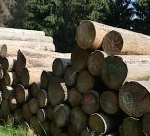 Wandern in / bei Friedrichroda