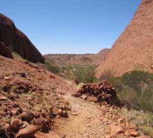Am Karu Lookout, dem Ende des leichten Teils