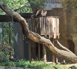 Zoo Berlin