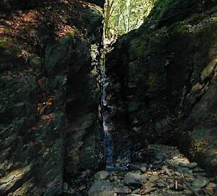 Wunderbare Einblicke in die Natur