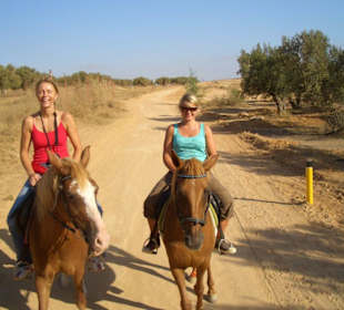 Ausritt bei der Ranch Mabrouka