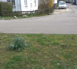 Alter Friedhof