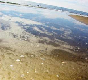 Ende September 2010 Inspirationen