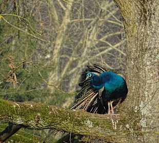  Stadtrundgang Karlsruhe