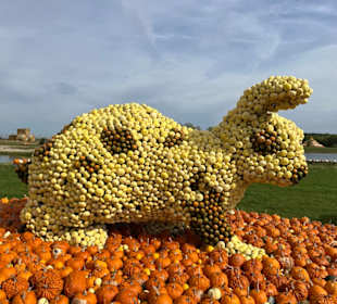 Krewelshof  Kürbisschau 2022 (Wundersame Waldwesen