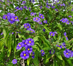 Eindrücke vom Rundgang durch den Park der Gärten