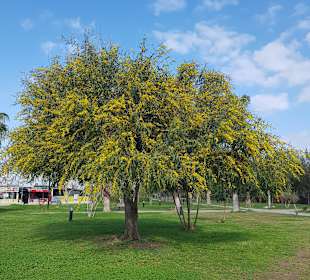 Wandern Side - Kumköy