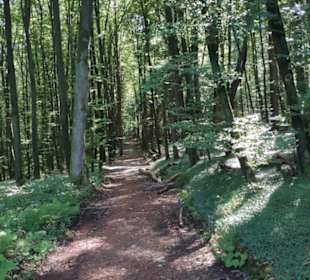 Schöner Waldweg