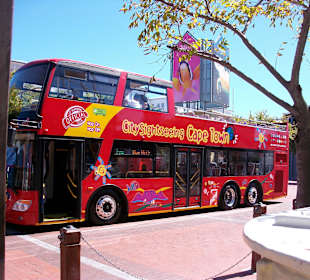 Hop on Hop off zum Tafelberg