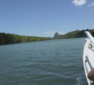 Mangroventour Peter Höfinger