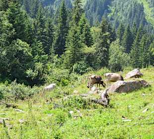 Wandern Stubaital Neustift