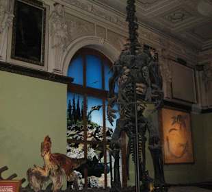 Naturhistorisches Museum
