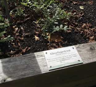 Kräutergarten
