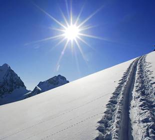 Winter Panorama