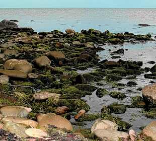 Hafen / Strand in Bornholm