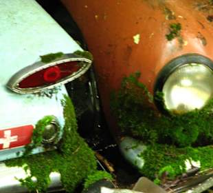 Oldtimer auf Historischem Autofriedhof in Kaufdorf