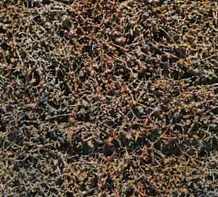 Unterwegs im Kurpark von Bad Mergentheim