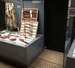 Museum für Naturkunde