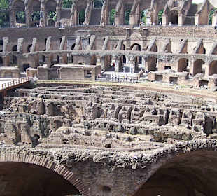 Roma Mia Tours
