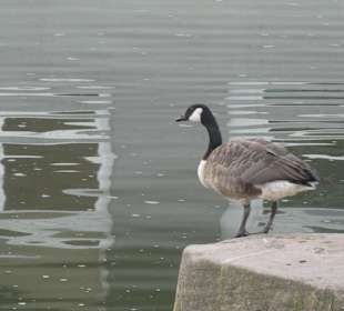 Bei einem Bummel durch die Nürnberger Altstadt