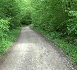 Wandertour Feuchtgebiet Schönbuch