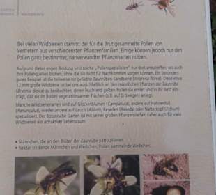 System der Pflanzen