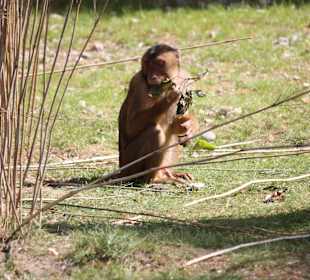 ZOOM Erlebniswelt Gelsenkirchen
