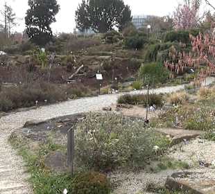 Heidegarten