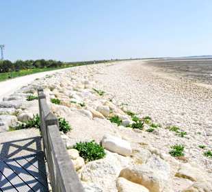 Zdjecia z La Rochelle