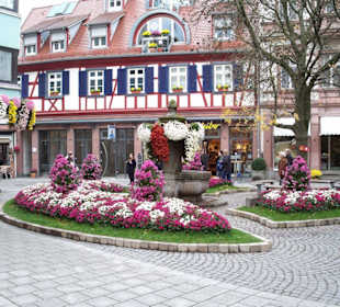 Chrysanthemen Show
